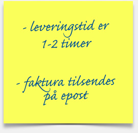 leveringstid
